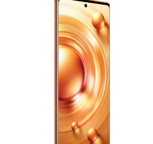 vivo X80