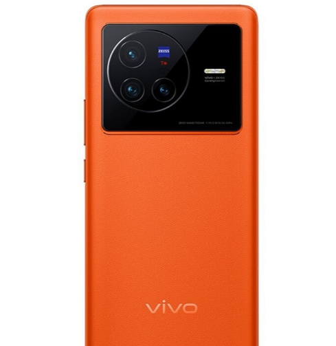 vivo X80