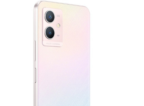 vivo Y33s