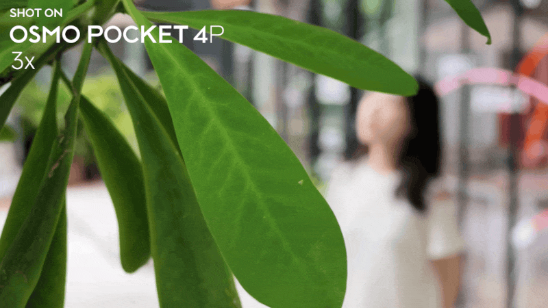 大疆定义了 Pocket,而 Pocket 4P 定义了「口袋电影机」