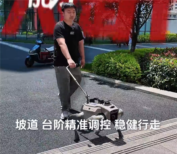 明日起:绵阳智能机器导盲犬开启常态化运营 一句话导航