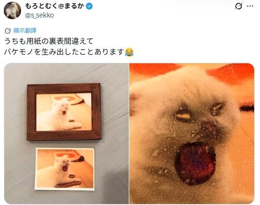 日本娃妈频频打印出恐怖照片 网友:你相纸塞反了!