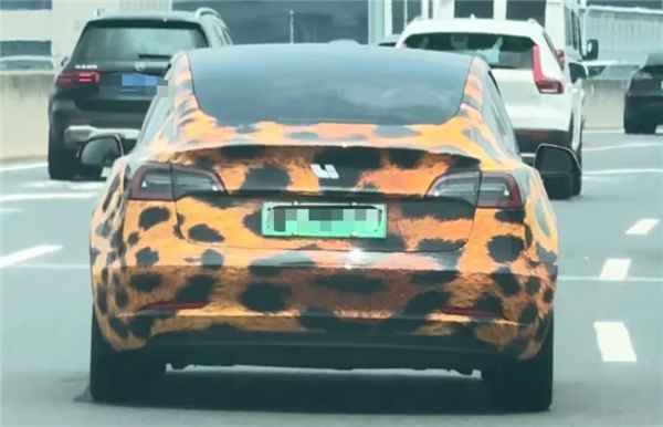 豹纹特斯拉抠标变身理想汽车！交警：私自更改汽车标志涉嫌违法