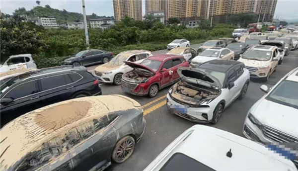 新能源车电池泡水 车主申请全损遭拒！法院判保险全赔
