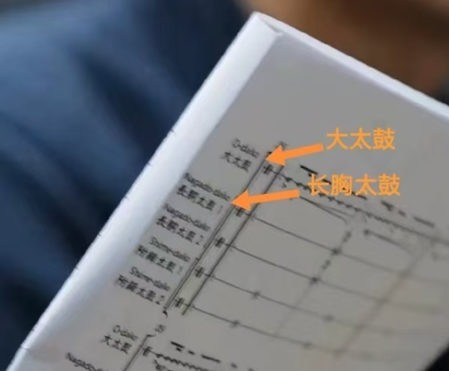 640-115 lululemon请朱一龙长城上敲日本太鼓,没文化不可怕,可怕的是夹带私货!